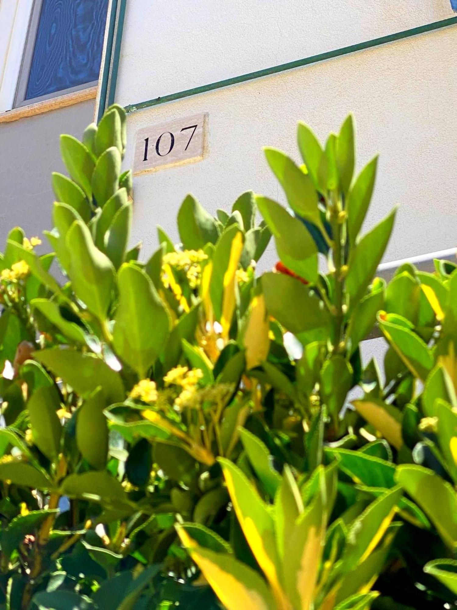 Apartment 107 - Roma Fiumicino Exterior photo